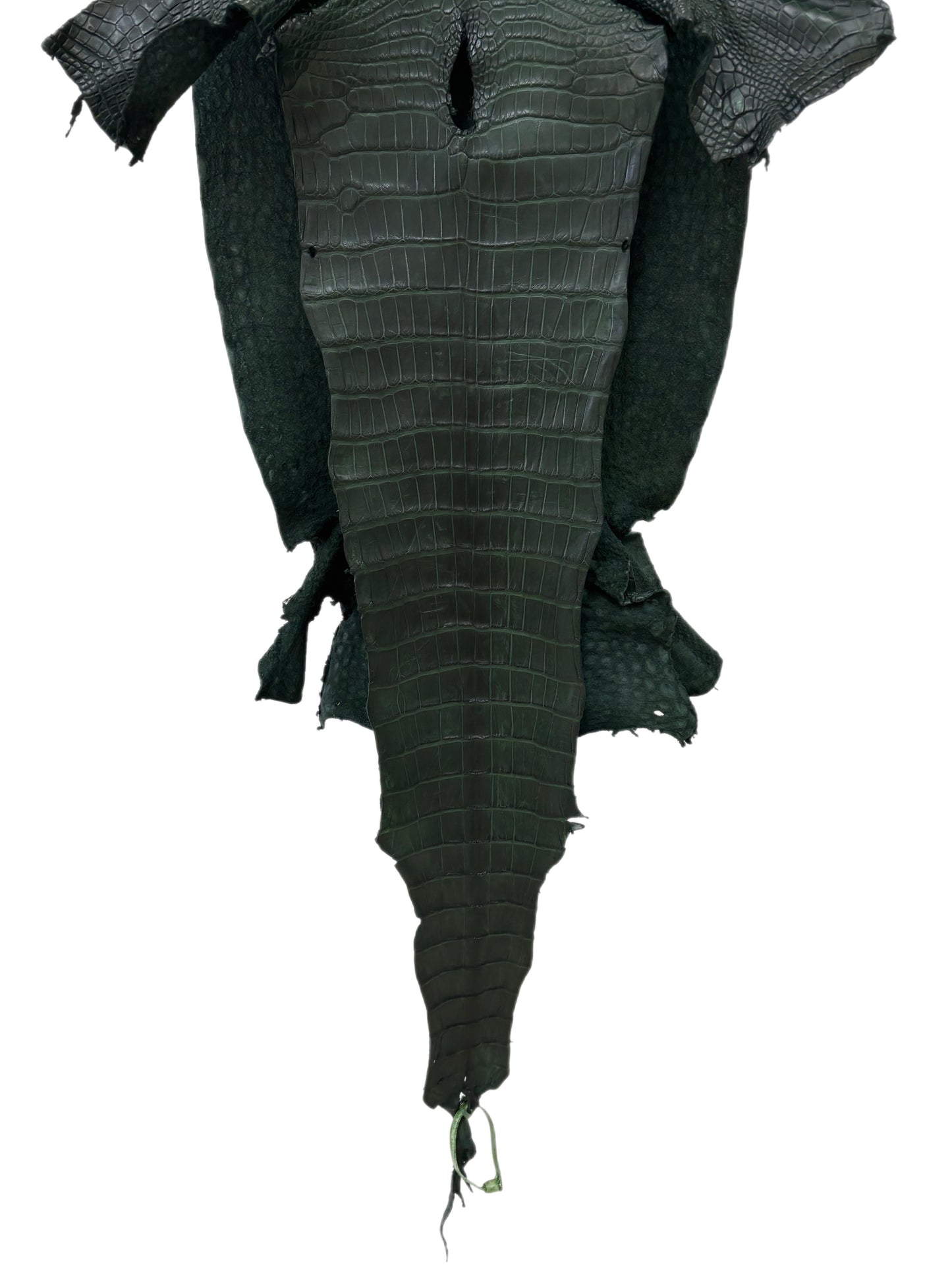 38 cm Grade 1/2 Forest Green Matte Wild American Alligator Leather - Tag: LA23-0006511