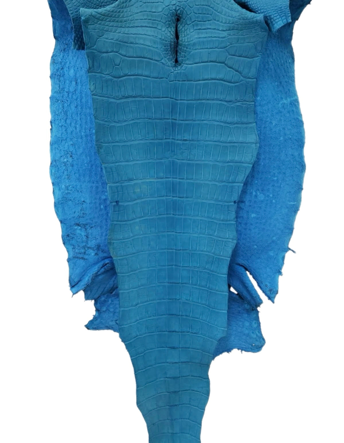55 cm Grade 2/3 Ultramarine Matte Wild American Alligator Leather - Tag: LA23-0003516
