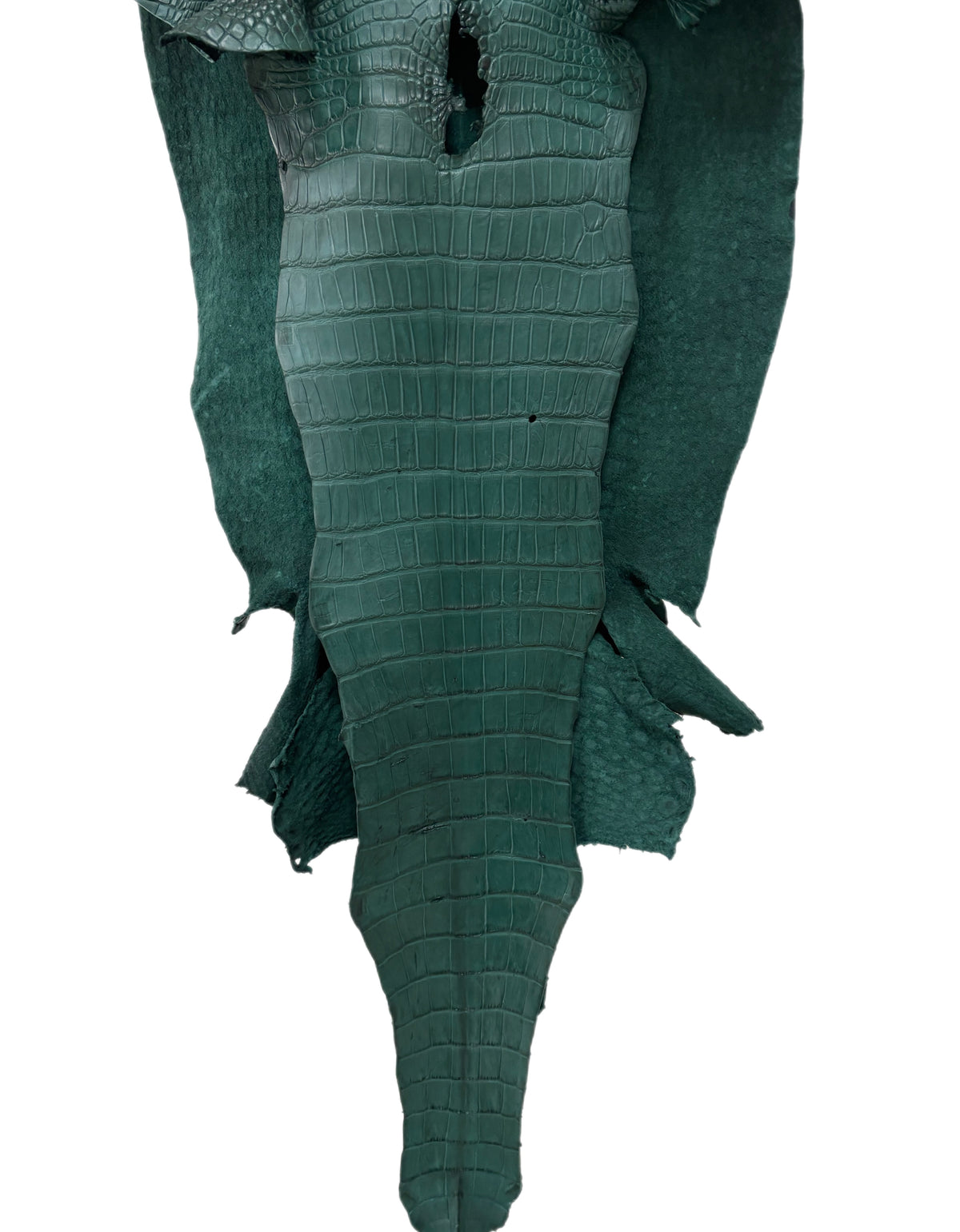49 cm Grade 3/4 Filigrana Matte Wild American Alligator Leather - Tag: LA25-0019685