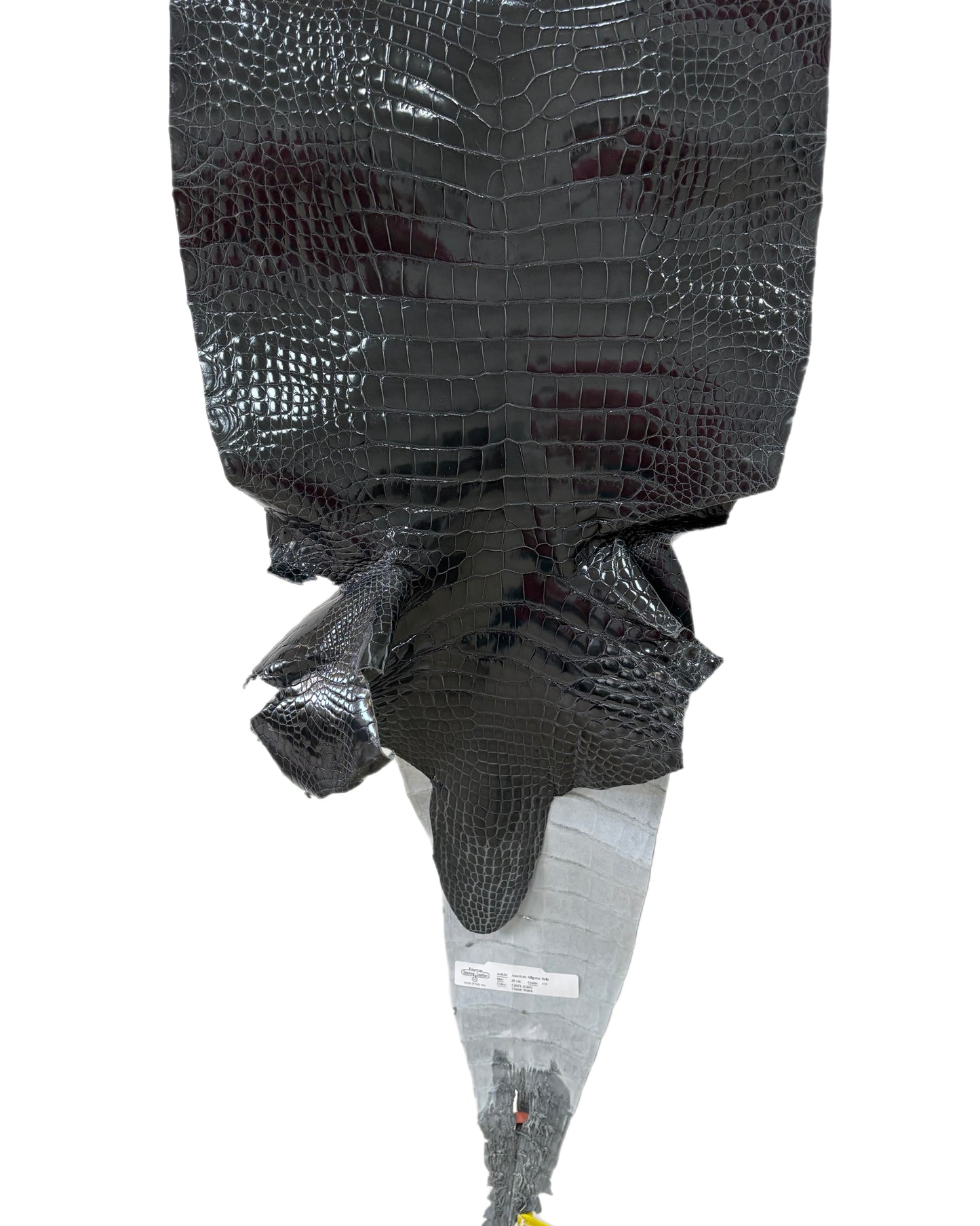 36 cm Grade 1/2 Grey Glazed Farm-Raised American Alligator Leather - Tag: GA14-0021348