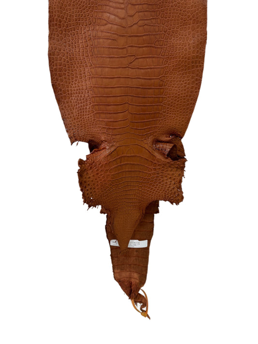 33 cm Grade 2/3 Cognac Matte Farm-Raised American Alligator Leather - Tag: LA23-0531592