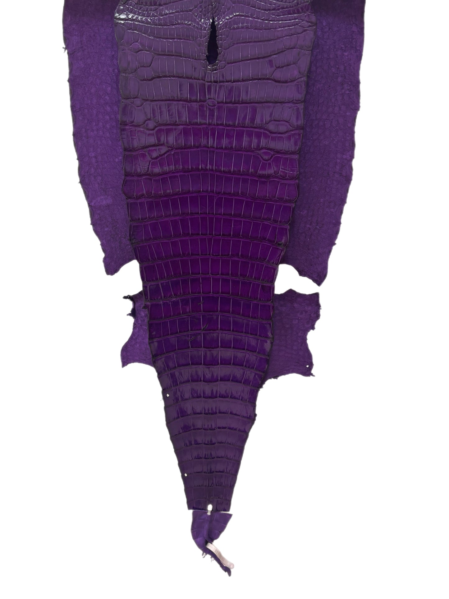 44 cm Grade 2/3 Violet Millennium Wild American Alligator Leather - Tag: LA17-0016301