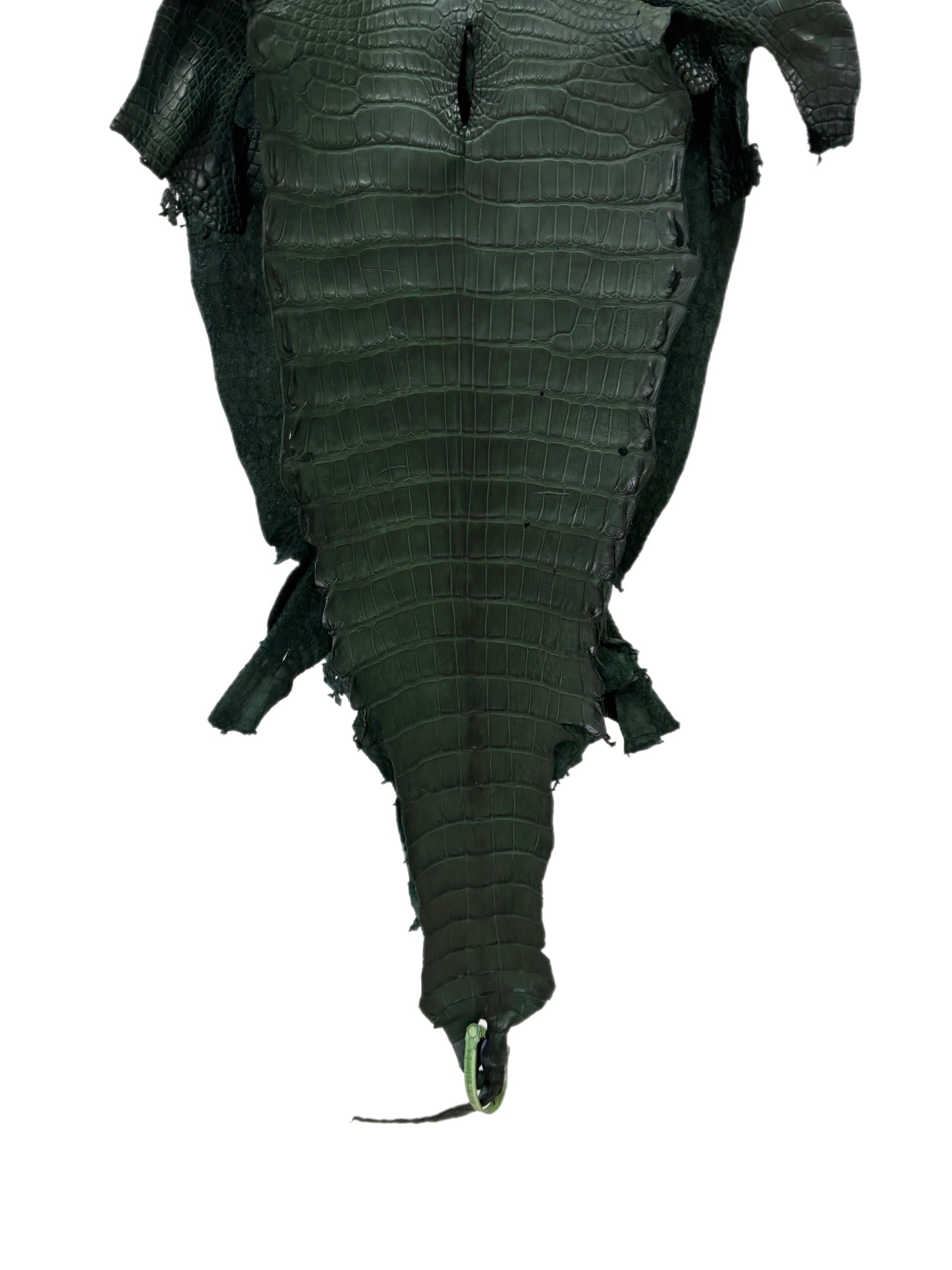36 cm Grade 2/3 Forest Green Matte Wild American Alligator Leather - Tag: LA23-0048161