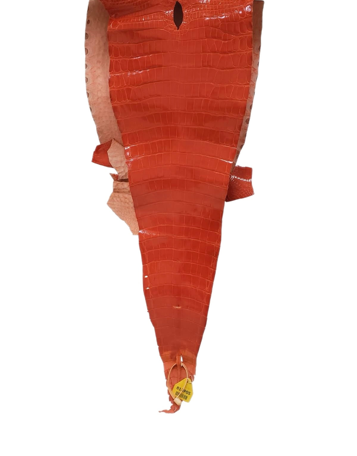 30 cm Grade 1/2 Mandarina Glazed Farm-Raised American Alligator Leather - Tag: GA15-0048060