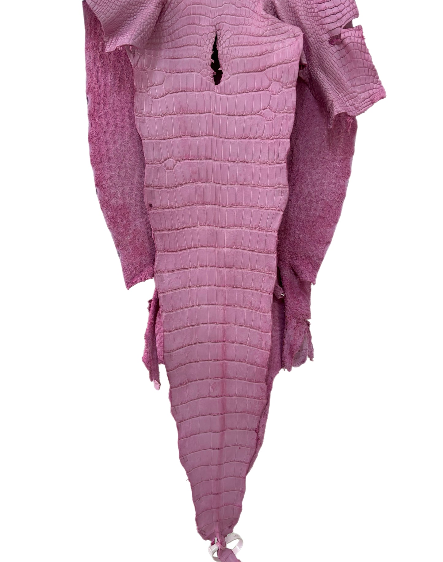 36 cm Grade 2/3 Cotton Candy Matte Wild American Alligator Leather - Tag: LA23-0034063