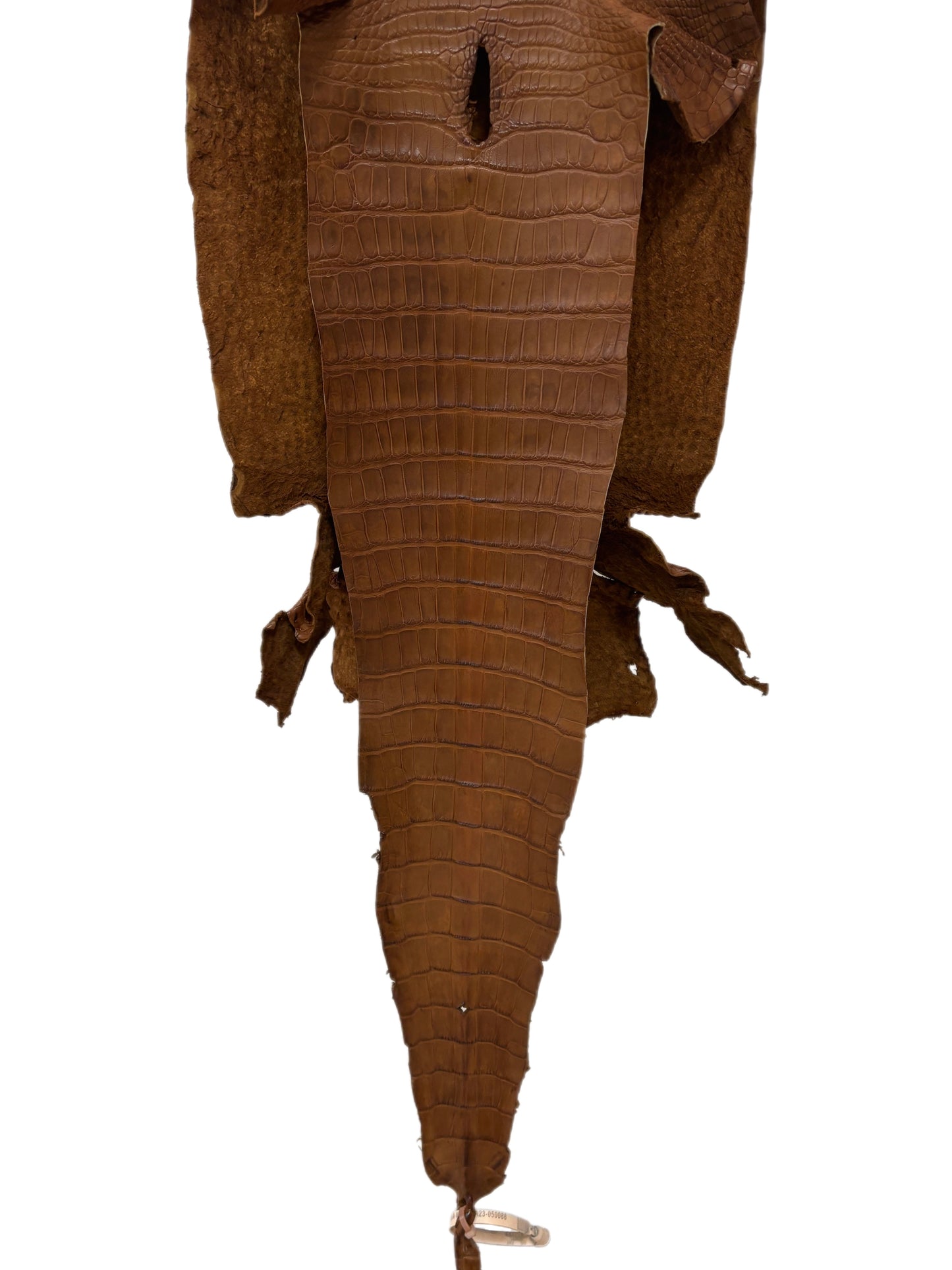 35 cm Grade 2/3 Kango Tabac Matte Wild American Alligator Leather - Tag: LA23-0050088