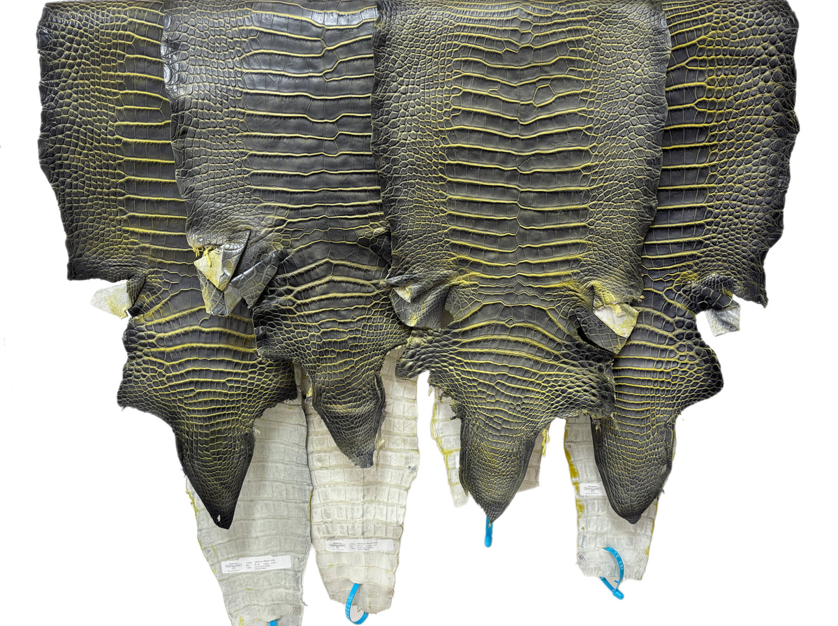 33-37 cm Grade 2/3 Voltage Matte American Alligator Leather | Closeout Deal