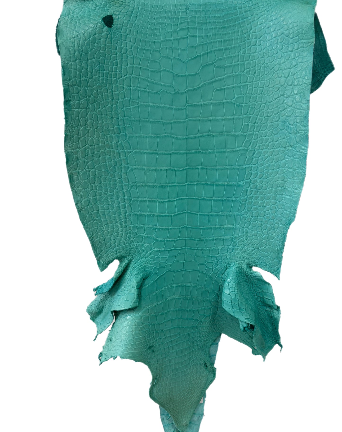 42 cm Grade 3/4 Seafoam Matte Wild American Alligator Leather - Tag: LA23-0024331