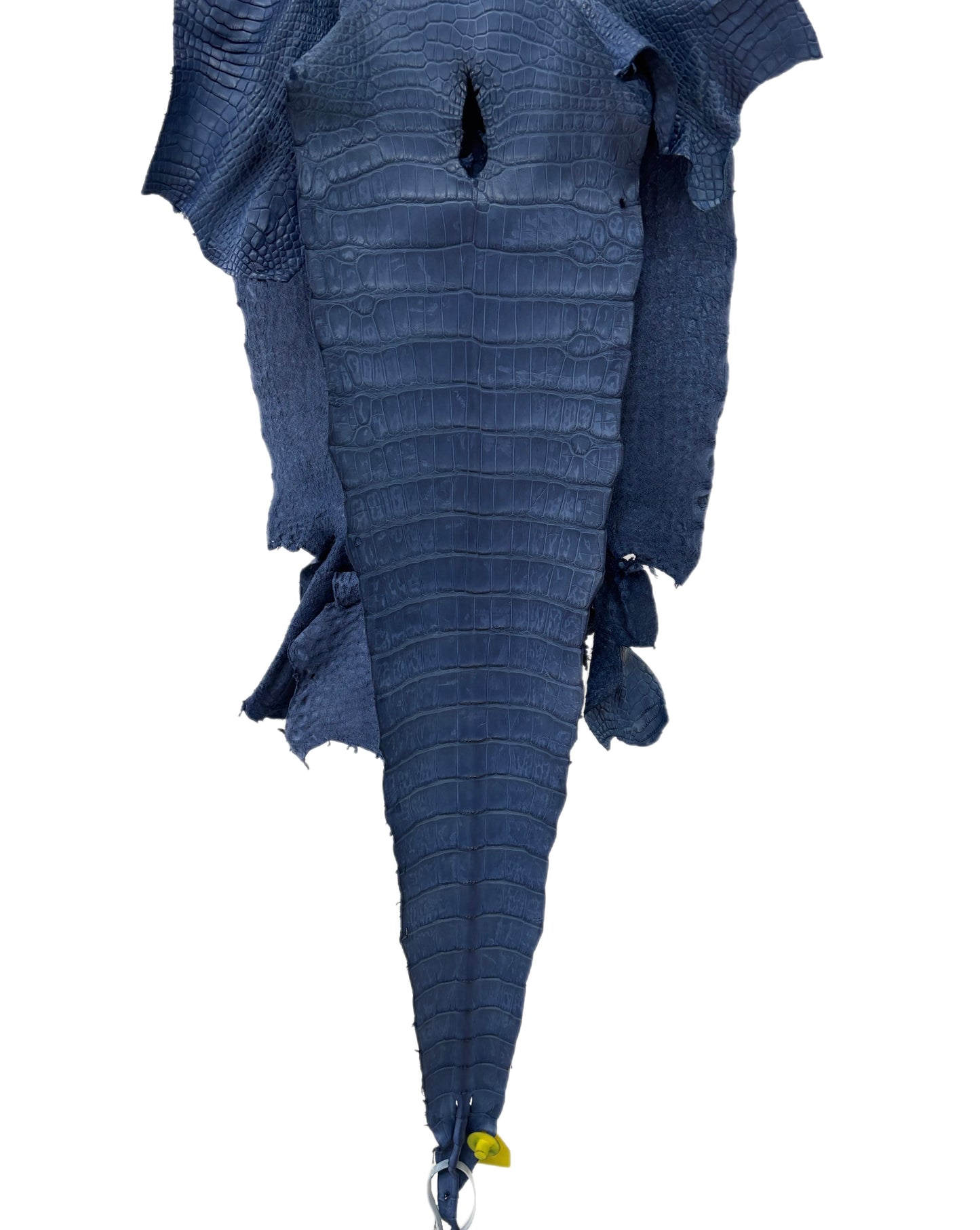 36 cm Grade 2/3 Indigo Matte Wild American Alligator Leather - Tag: LA17-0019224