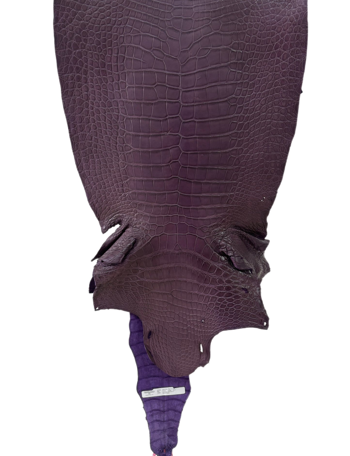 42 cm Grade 3/4 Aubergine Matte Wild American Alligator Leather - Tag: LA23-0030943