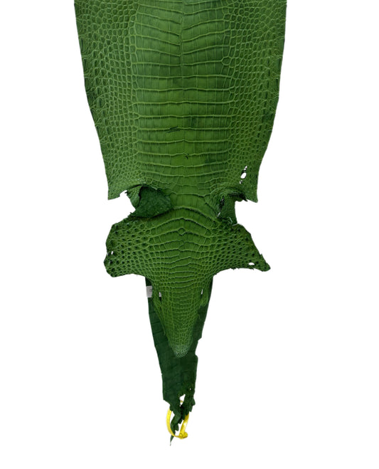 30 cm Grade 3/4 Jungle Green Matte Farm-Raised American Alligator Leather - Tag: FL21-0023988