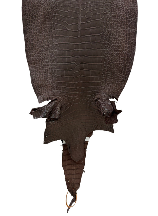 32 cm Grade 1/2 Chocolate Matte Farm-Raised American Alligator Leather - Tag: LA23-0531407