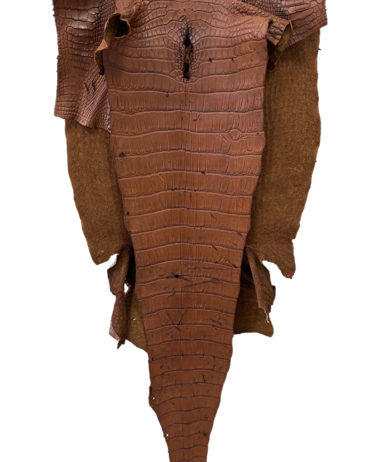 54 cm Grade 4/5 Cigar Matte Wild American Alligator Leather - Tag: LA18-0019982