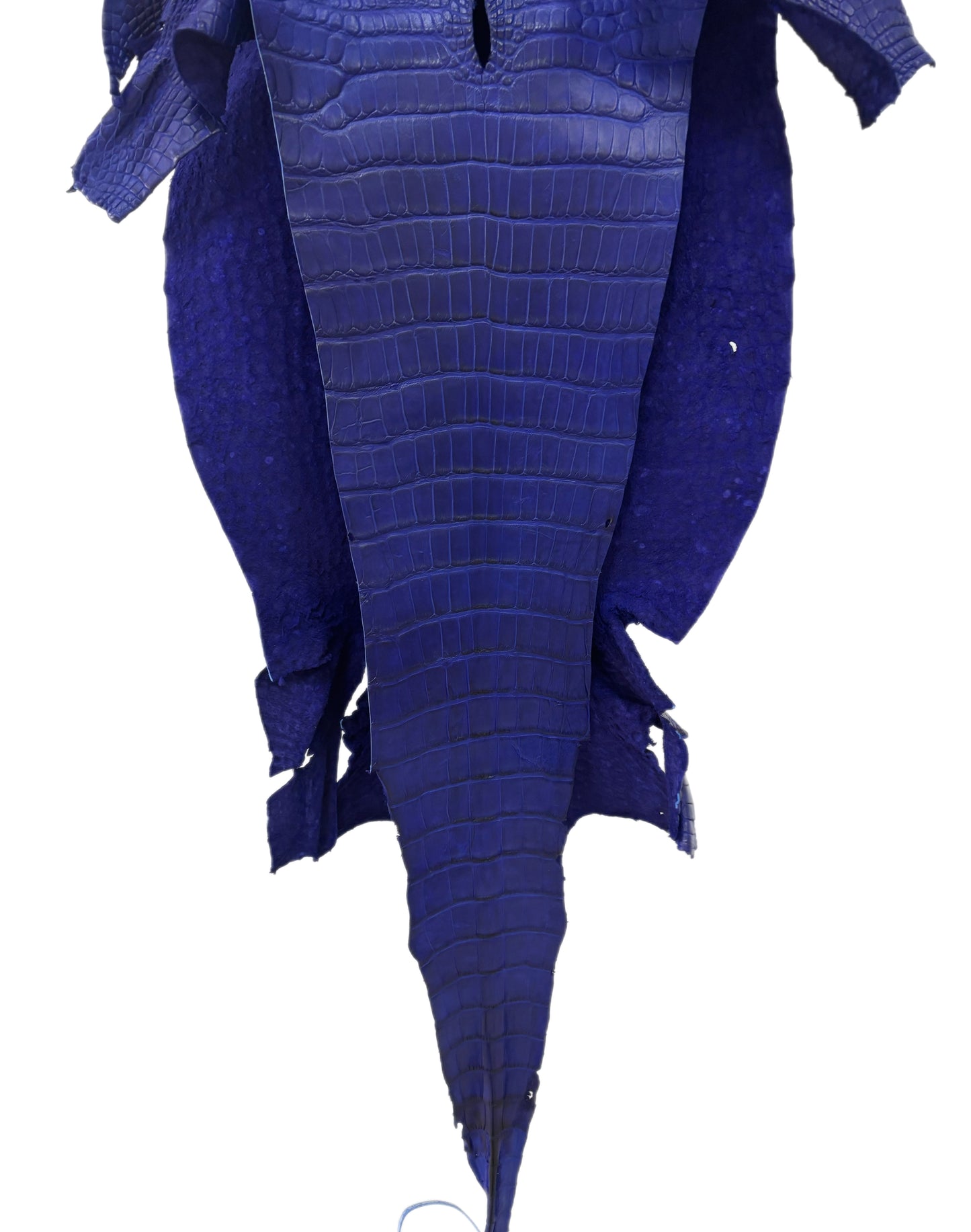 33 cm Grade 2/3 Cobalt Blue Matte Wild American Alligator Leather - Tag: LA23-0050105