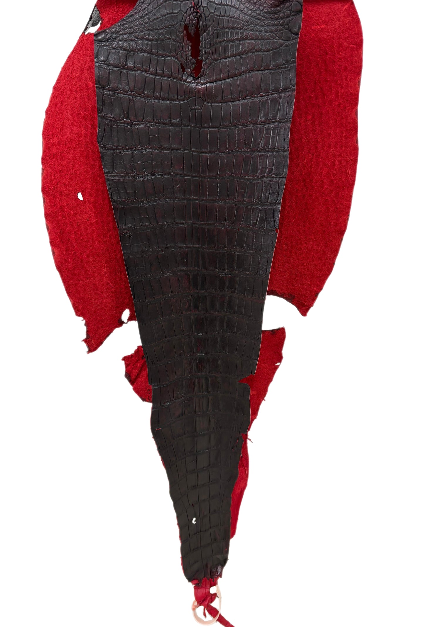 42 cm Grade 3/4 Black Cherry Matte Wild American Alligator Leather - Tag: LA23-0048174