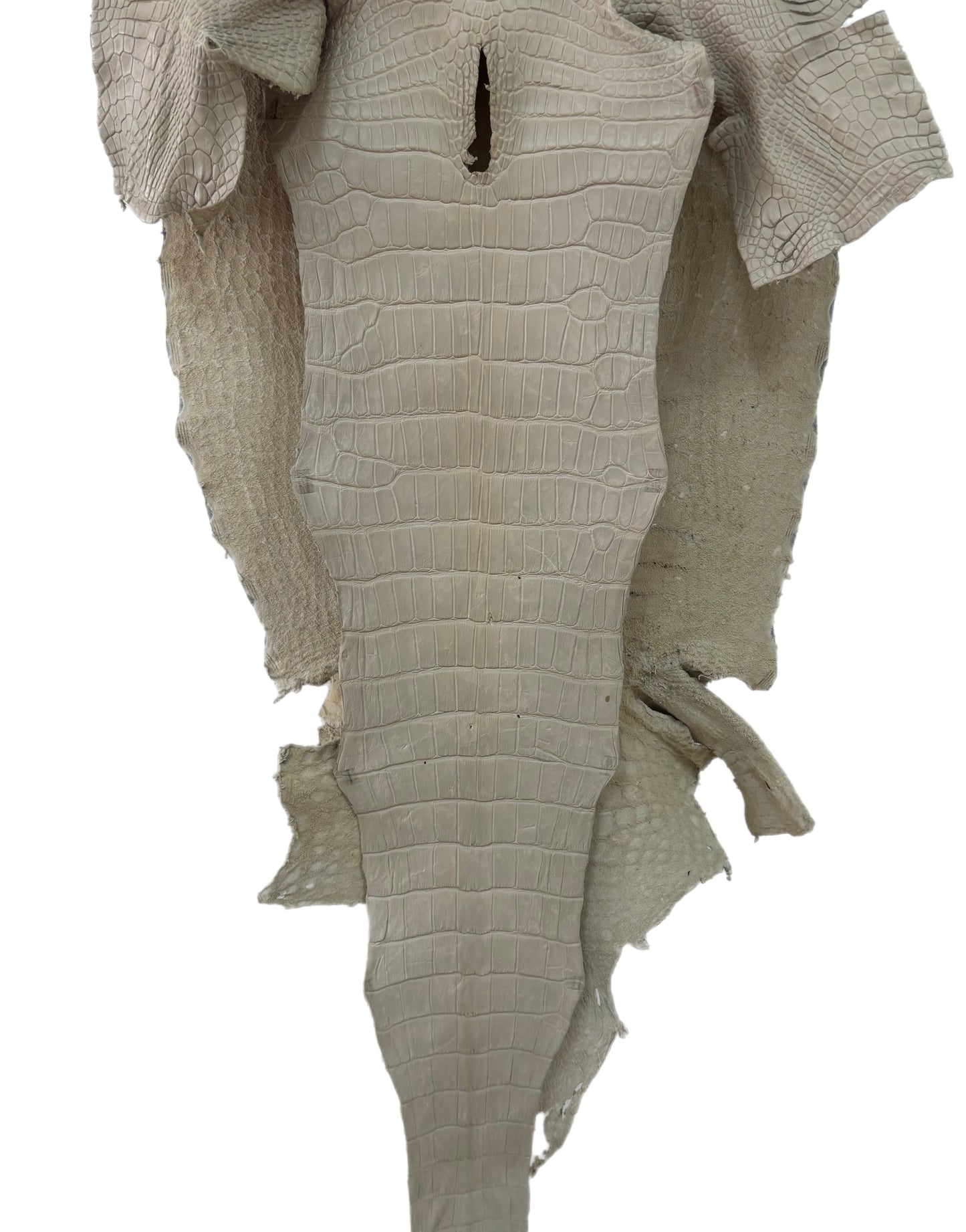 48 cm Grade 3/4 Dune Matte Farm American Alligator Leather - Tag: LA23-0000390