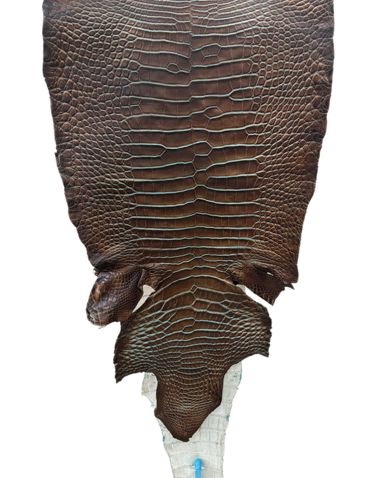 34 cm Grade 1/2 Pacifica Matte Wild American Alligator Leather - Tag: ESRE-0050995
