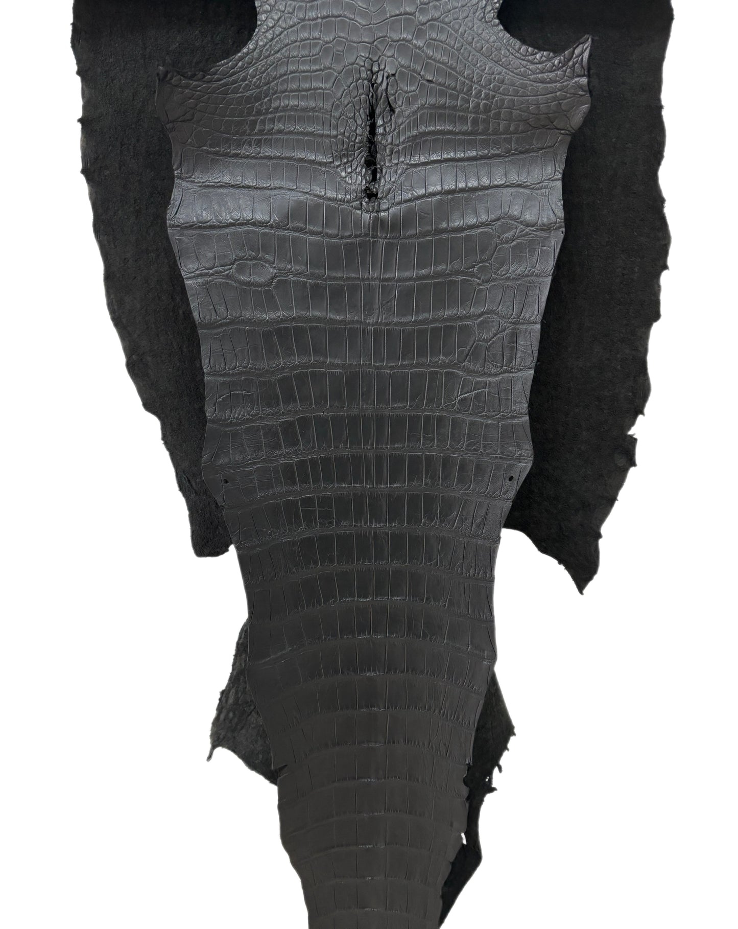 54 cm Grade 3/4 Black Matte Farm American Alligator Leather - Tag: LA23-0000550