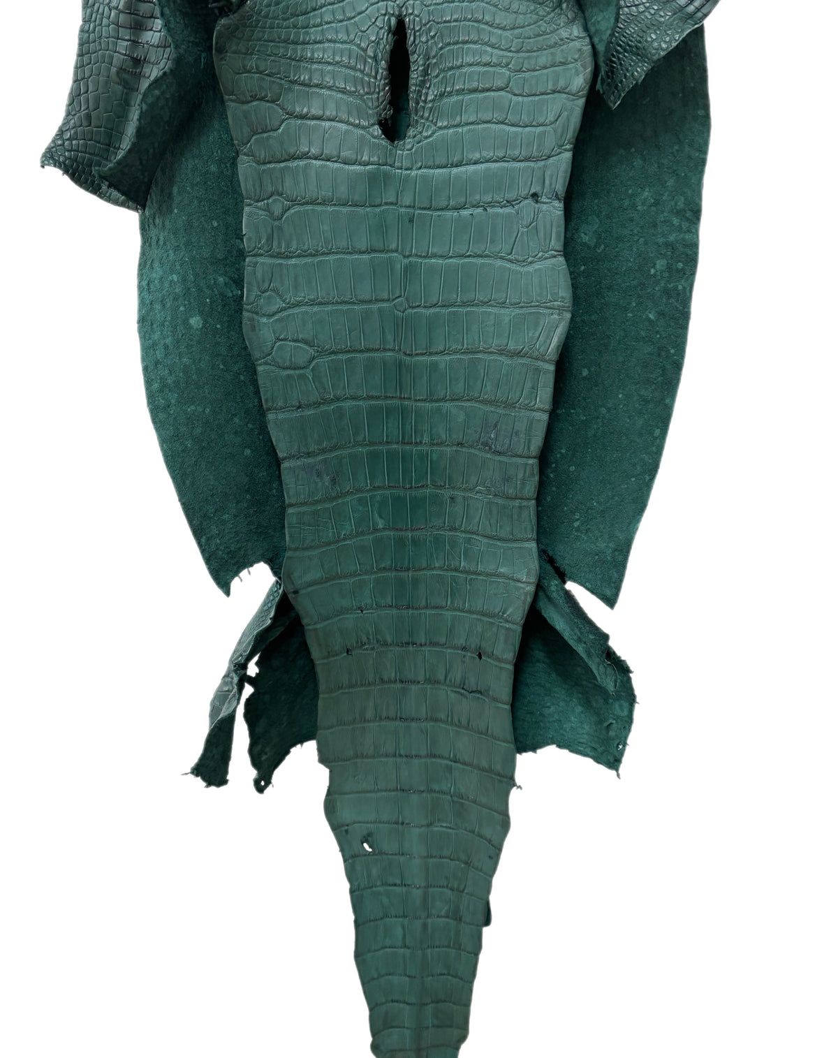 49 cm Grade 3/4 Filigrana Matte Wild American Alligator Leather - Tag: LA25-0018657