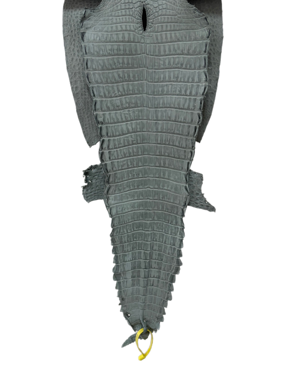 New Color and Finish! 28 cm Grade 2/3 Grey Nubuck Farm-Raised American Alligator Leather - Tag: FL22-0030318