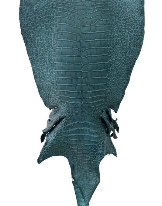43 cm Grade 2/3 Teal Matte Wild American Alligator Leather - Tag: LA23-0048188