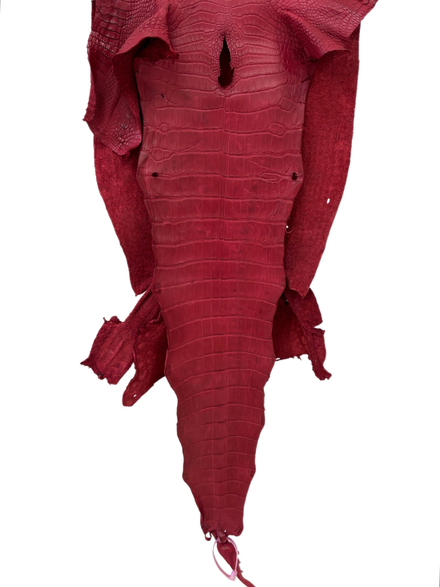 39 cm Grade 3/4 Scarlet Matte Wild American Alligator Leather - Tag: LA23-0030680