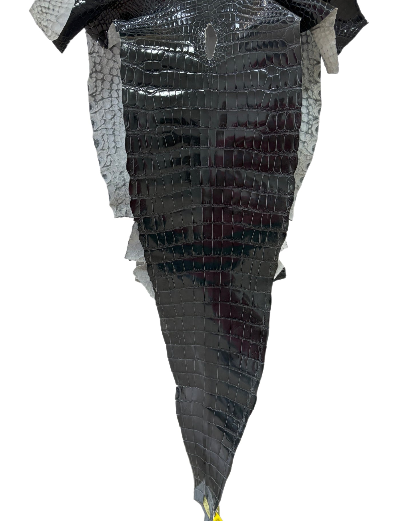 32 cm Grade 2/3 Grey Glazed Farm-Raised American Alligator Leather - Tag: GA13-0046071