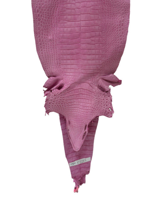 32 cm Grade 2/3 Cotton Candy Matte Farm-Raised American Alligator Leather - Tag: FL21-0023965