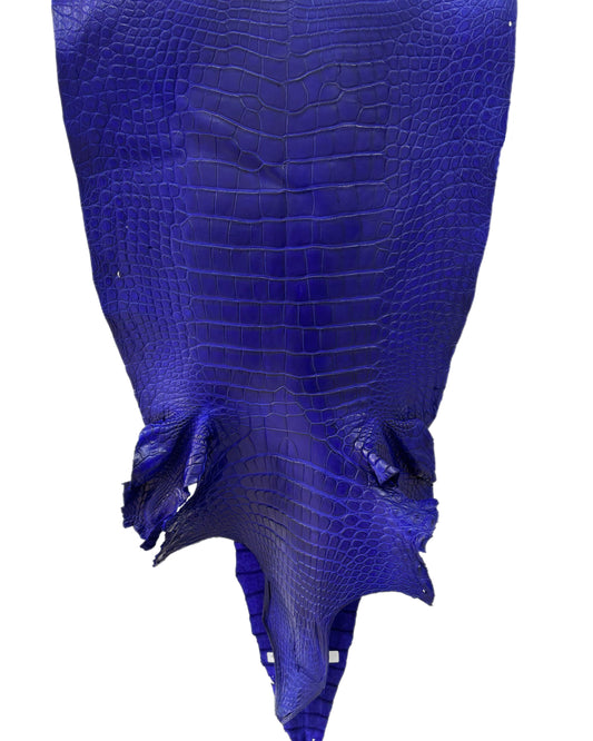 43 cm Grade 3/4 Cobalt Blue Matte Wild American Alligator Leather - Tag: LA23-0030916