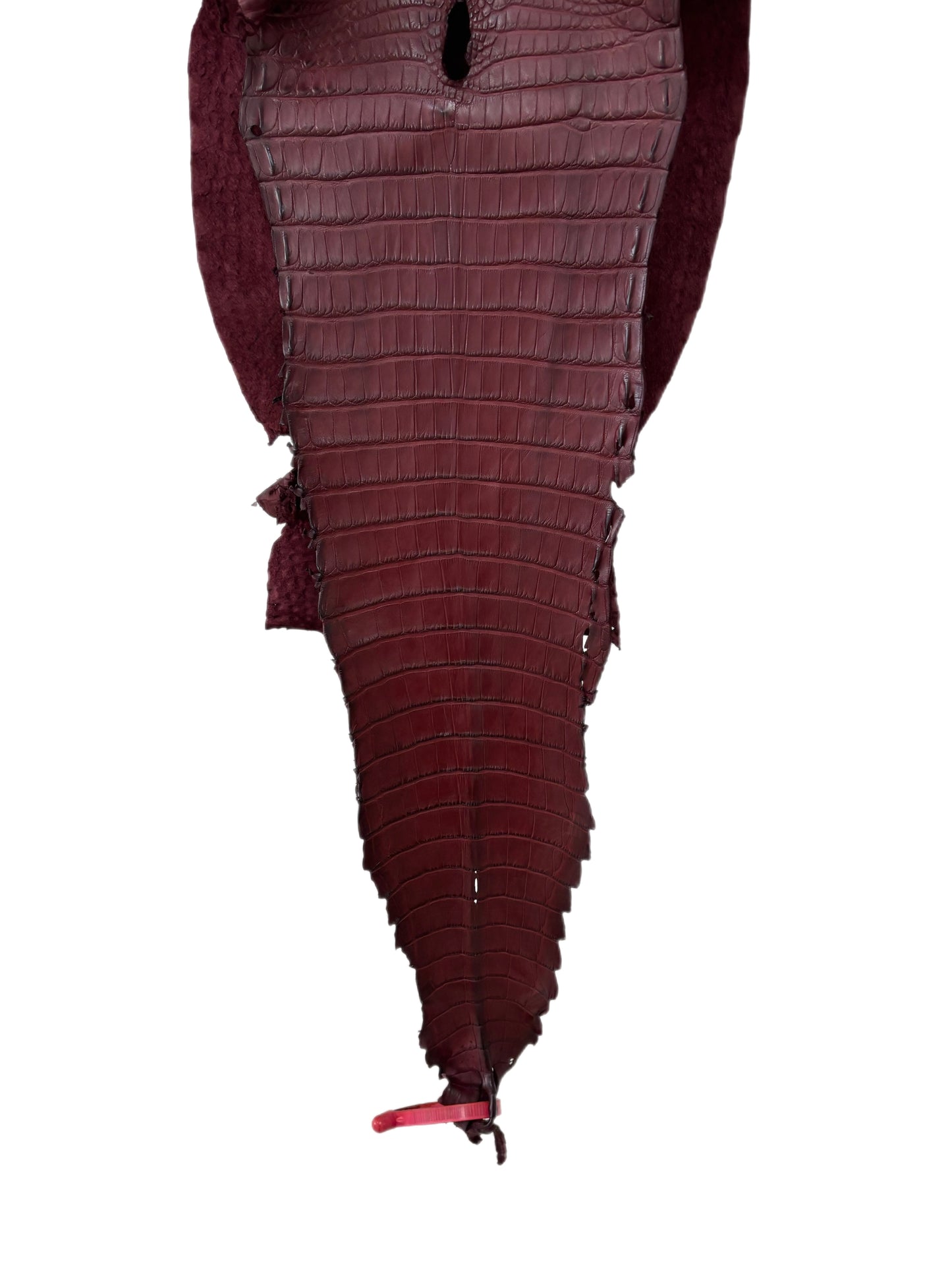 27 cm Grade 1/2 Bordeaux Matte Farm-Raised American Alligator Leather - Tag: FL21-0025119