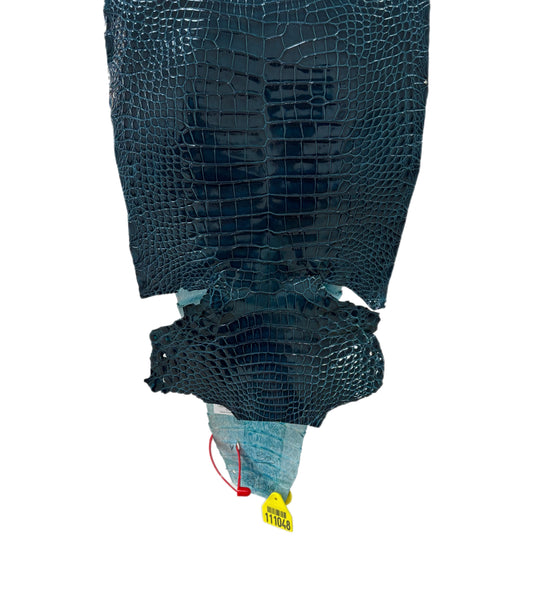27 cm Grade 1/2 Tahiti Glazed Farm-Raised American Alligator Leather - Tag: CCIT-0539911