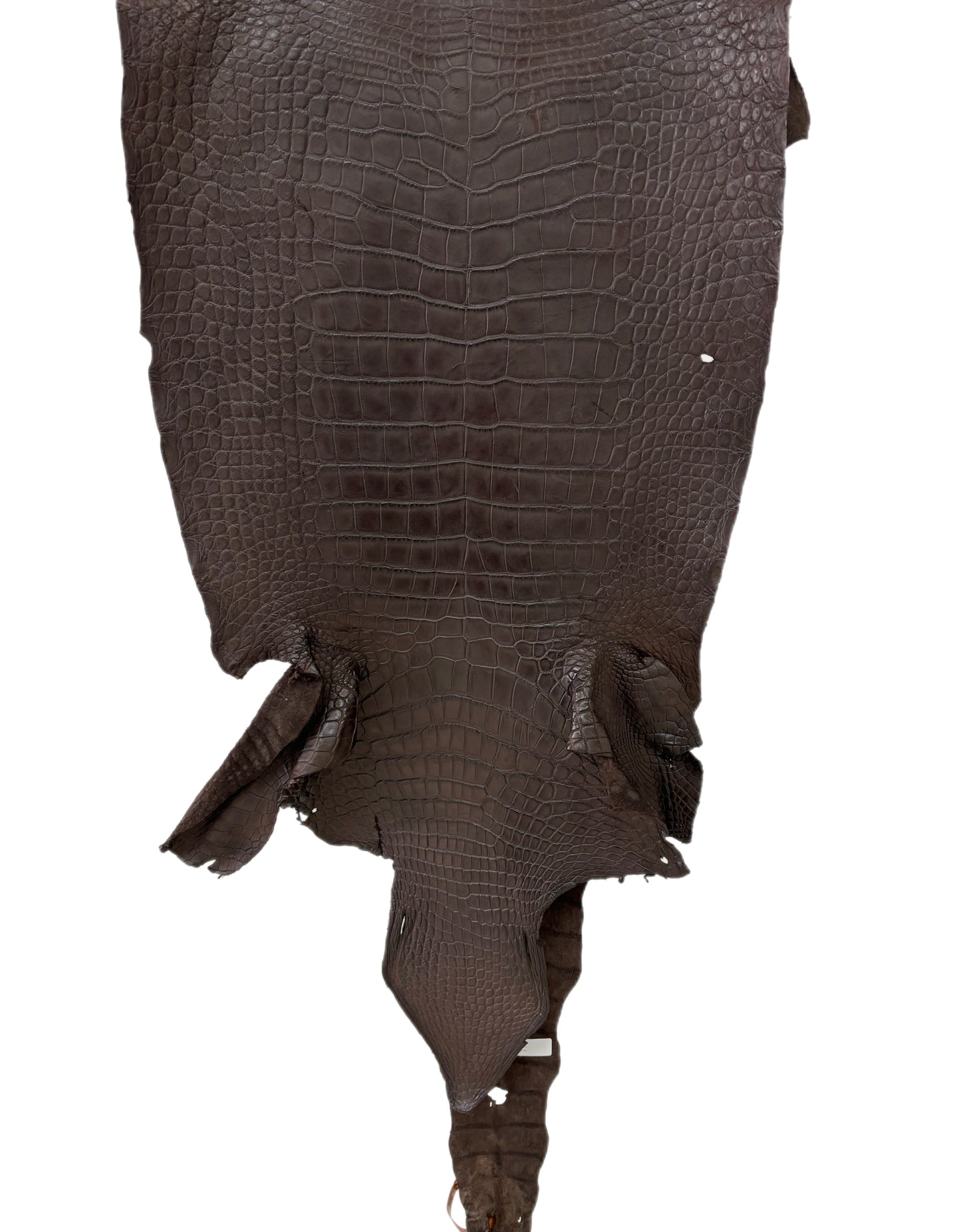 45 cm Grade 4/5 Dark Chocolate Matte Wild American Alligator Leather - Tag: LA23-0007533