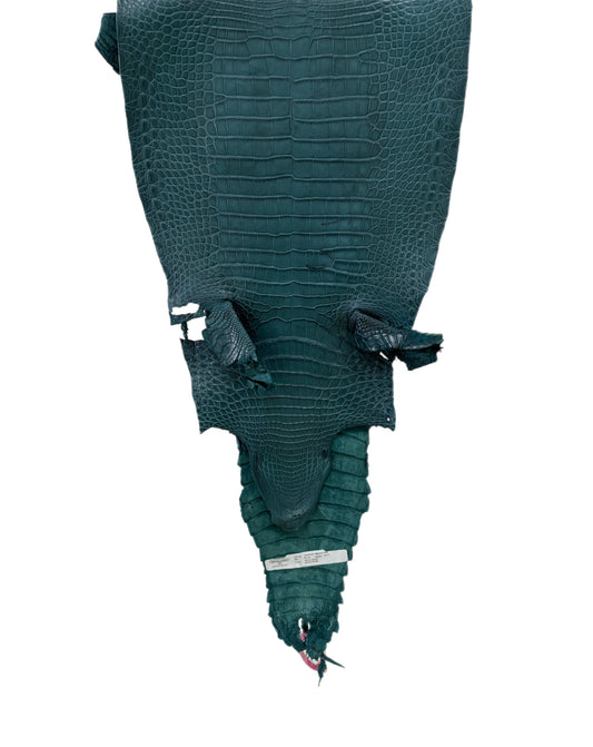 31 cm Grade 3/4 Teal Matte Farm-Raised American Alligator Leather - Tag: FL21-0024279