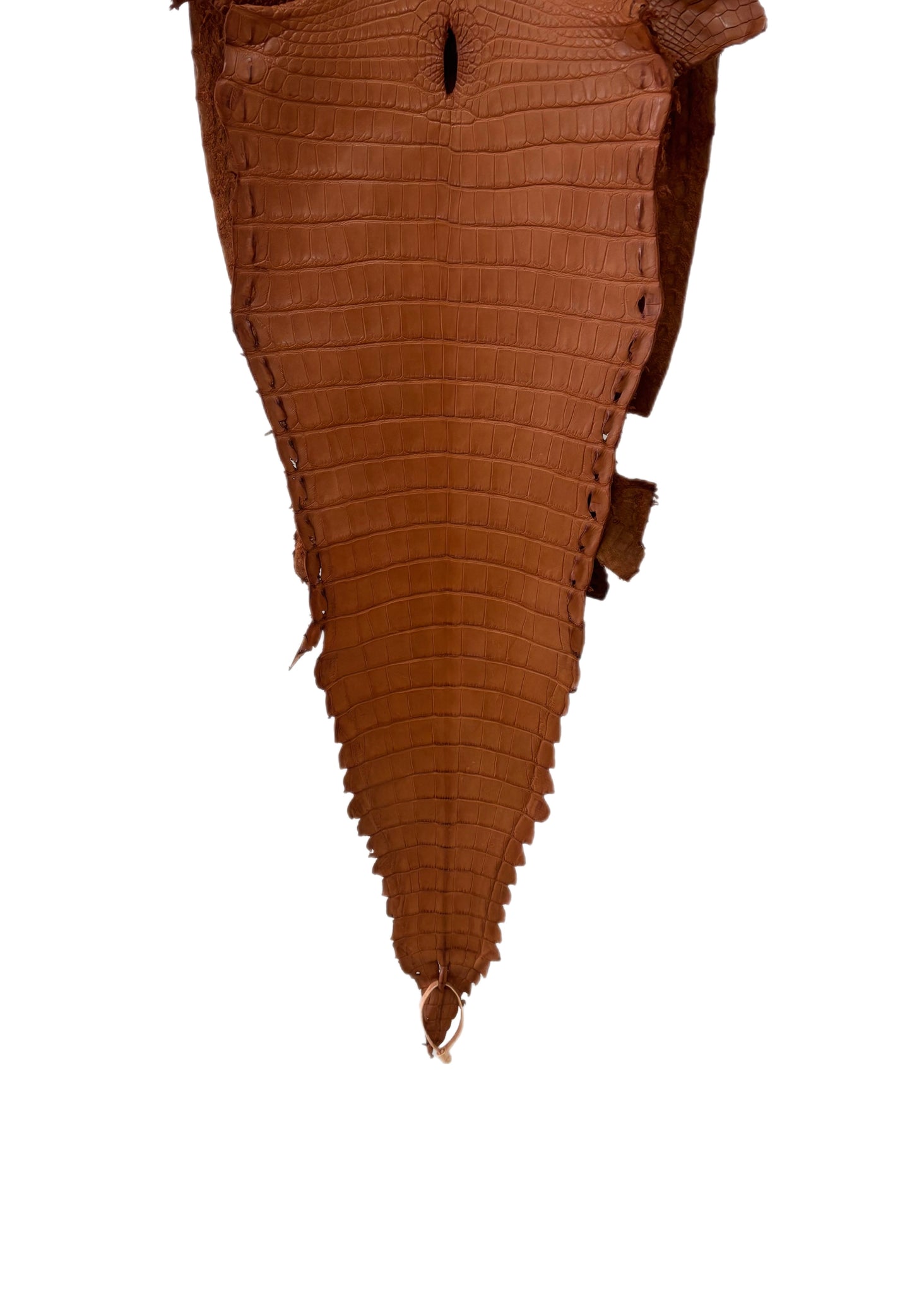 37 cm Grade 3/4 Cognac Matte Farm-Raised American Alligator Leather - Tag: FL17-0052846