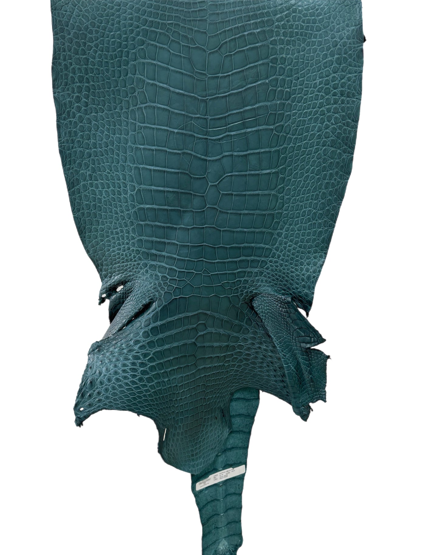 41 cm Grade 3/4 Teal Matte Wild American Alligator Leather - Tag: LA23-0030719