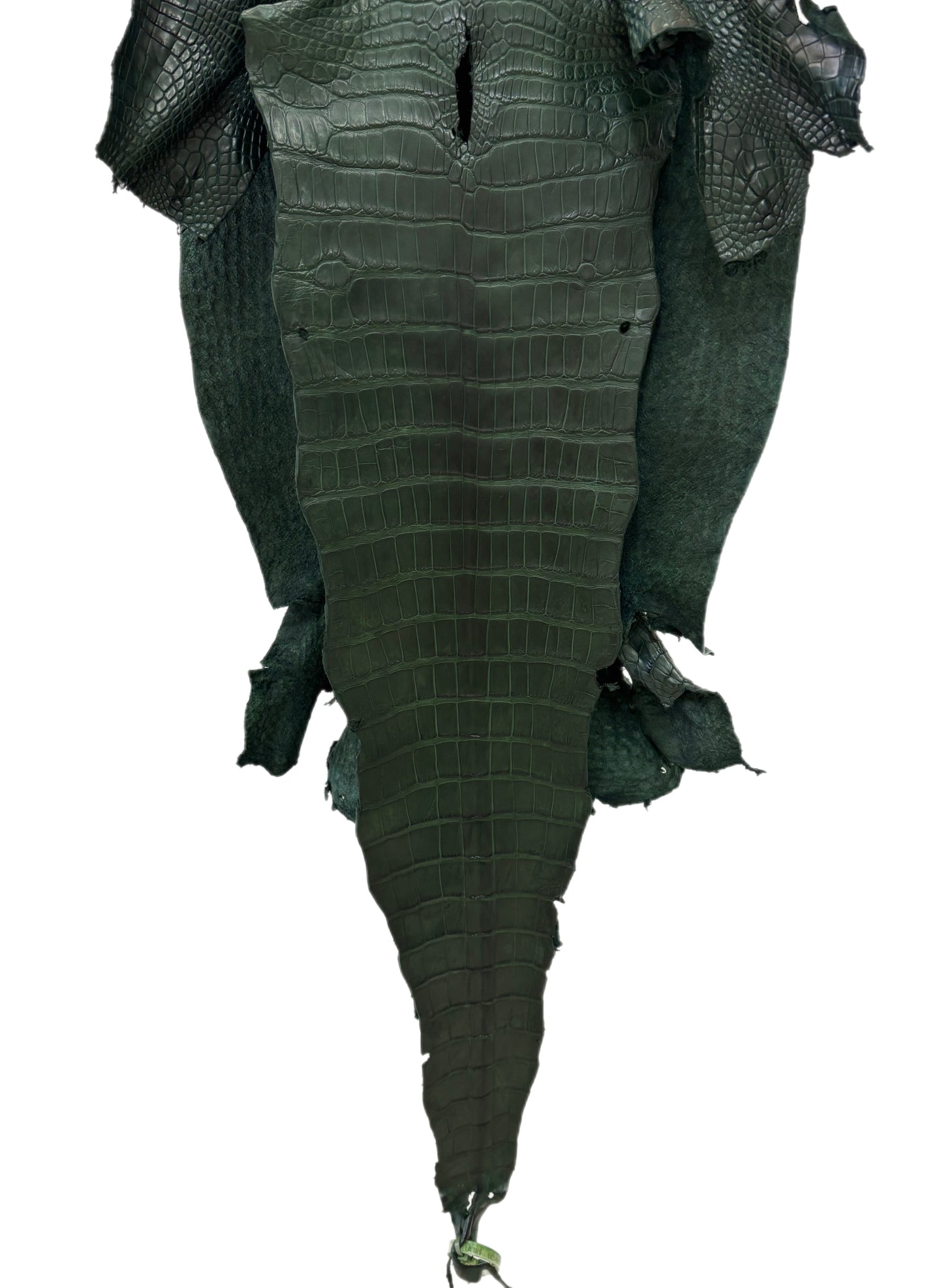 40 cm Grade 2/3 Forest Green Matte Wild American Alligator Leather - Tag: LA23-0030697