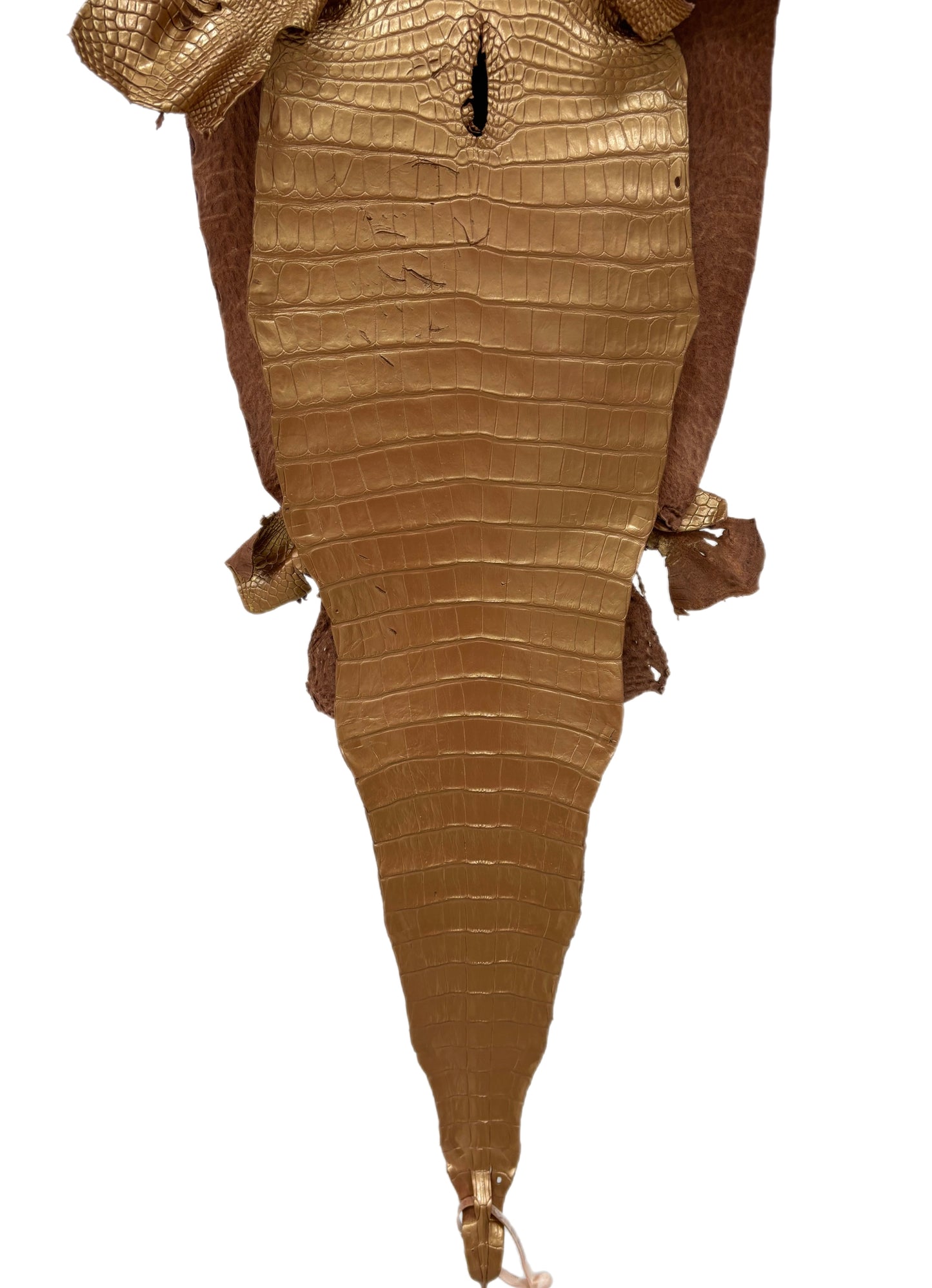 34 cm Grade 4/5 Champagne Metallic Matte Farm-Raised American Alligator Leather - Tag: FL17-0036997