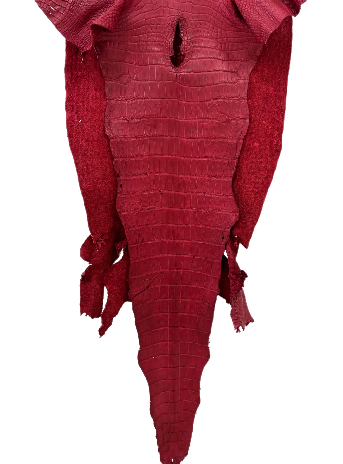 42 cm Grade 3/4 Scarlet Matte Wild American Alligator Leather - Tag: LA23-0025992