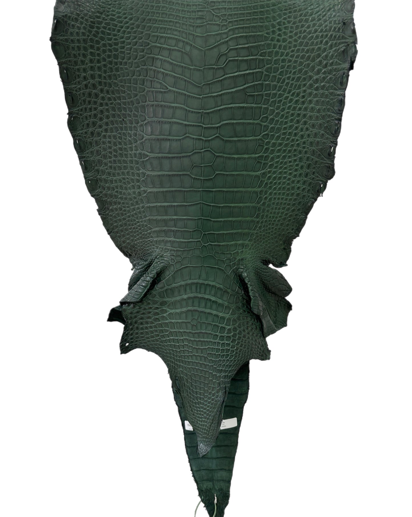 38 cm Grade 1/2 Forest Green Matte Farm-Raised American Alligator Leather - Tag: LA17-0274462