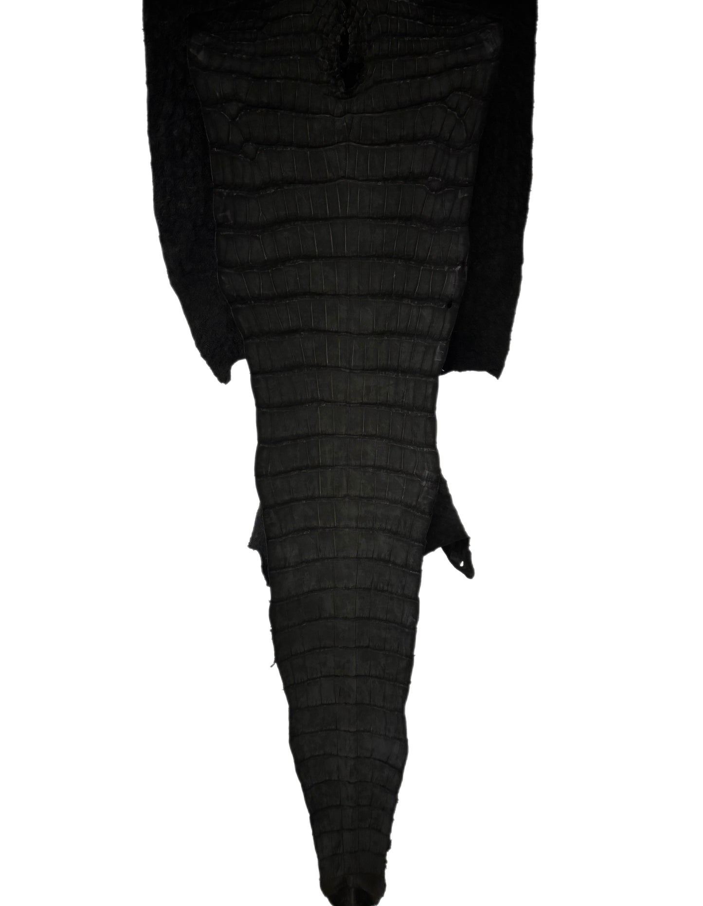 33 cm Grade 2/3 Black Nubuck Wild American Alligator Leather - Tag: FL24-0077586