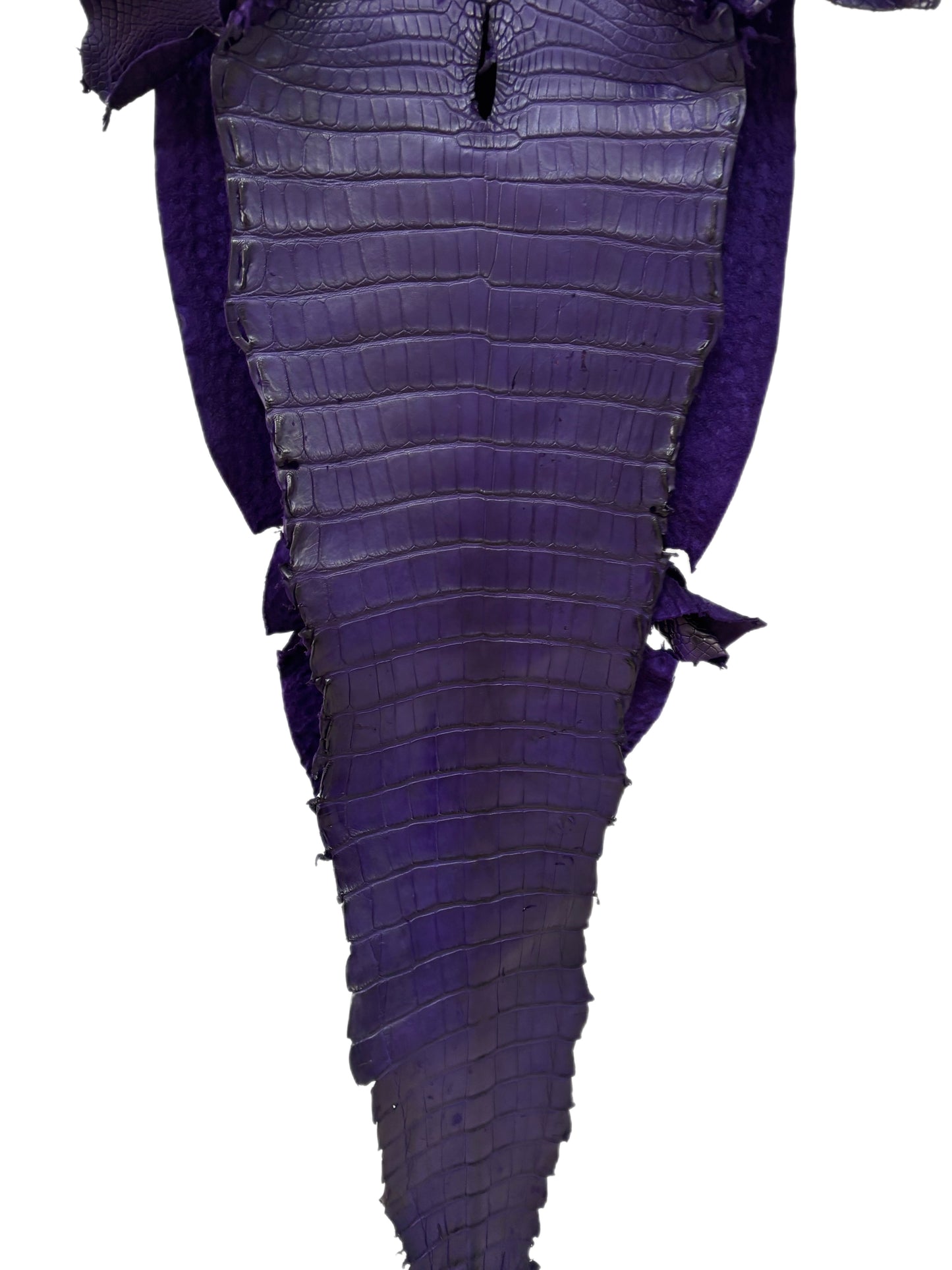 31 cm Grade 4/5 Violet Primavera Matte Farm-Raised American Alligator Leather - Tag: FL21-0024203