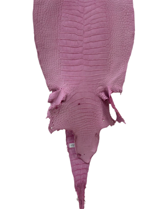 34 cm Grade 2/3 Cotton Candy Matte Wild American Alligator Leather - Tag: LA23-0022711