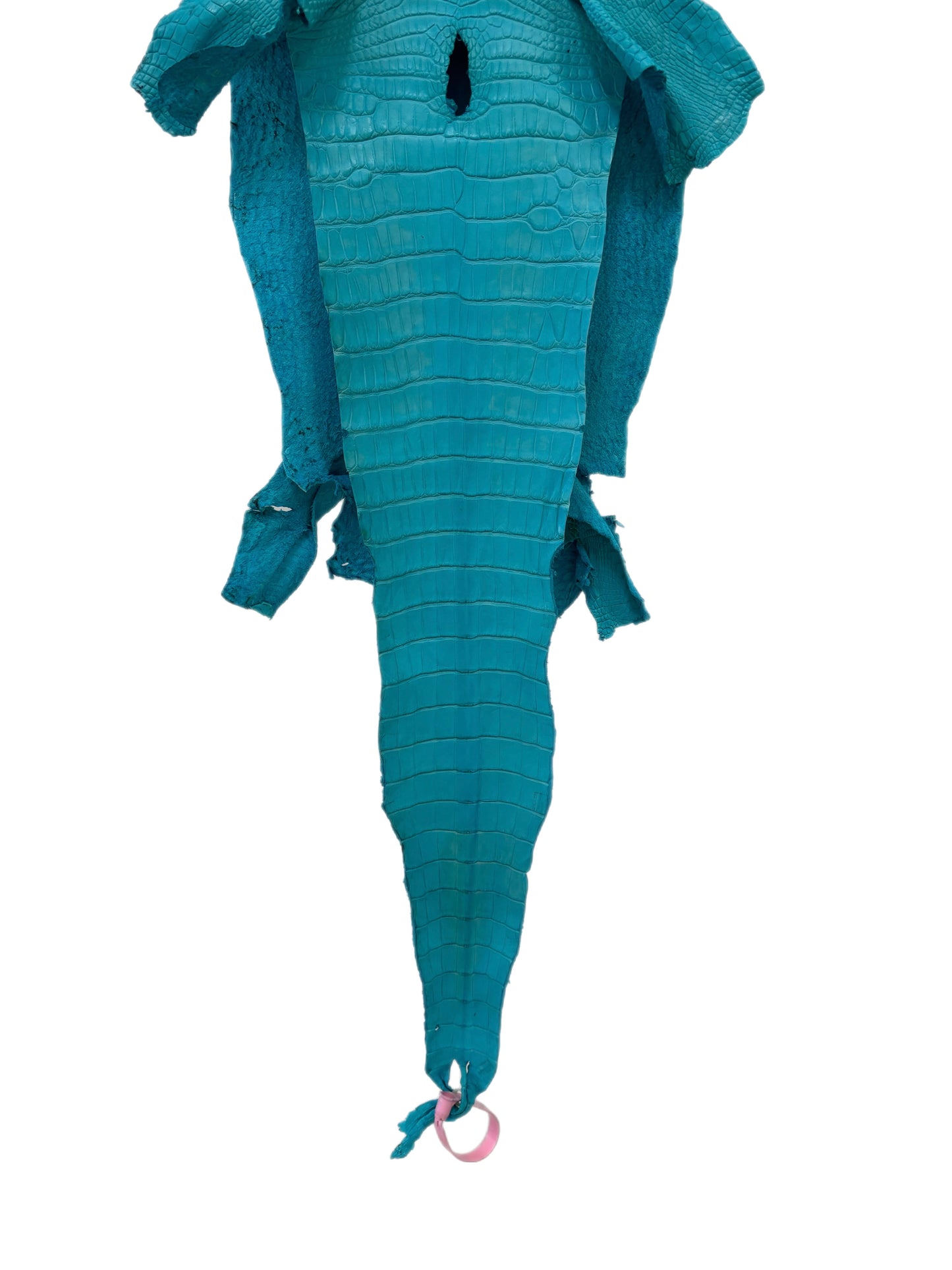 26 cm Grade 1/2 Turquoise Matte Farm-Raised American Alligator Leather - Tag: LA24-0228836