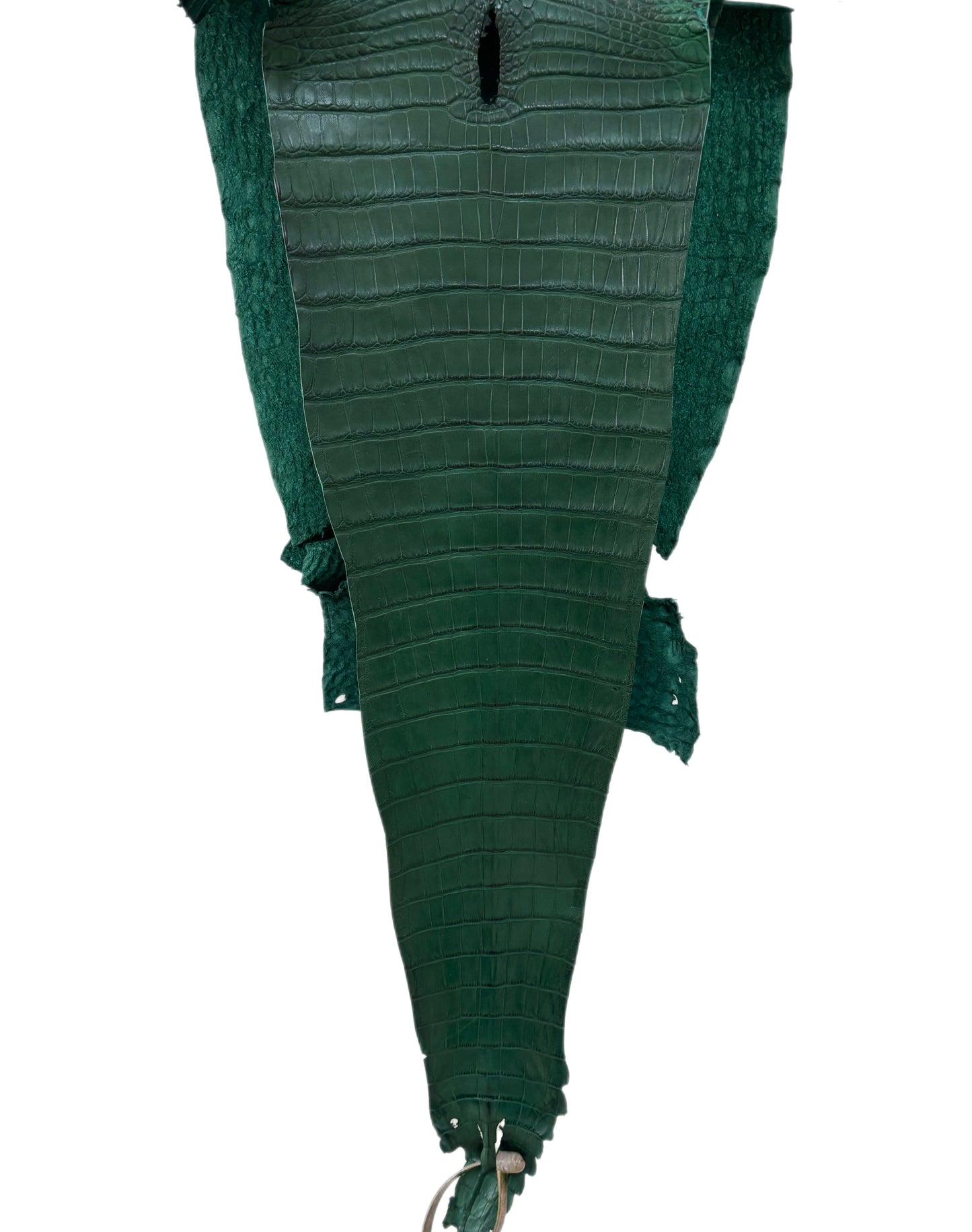 27 cm Grade 3/4 Forest Green Matte Farm Raised American Alligator Leather - Tag: FL21-0024596