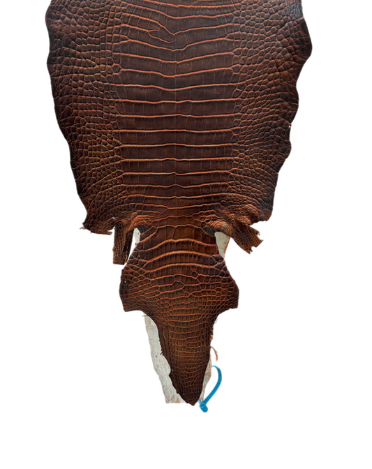 30 cm Grade 1/2 Sienna Matte Wild American Alligator Leather - Tag: ESRE-0050721