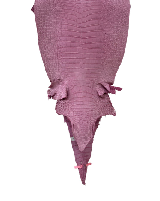 32 cm Grade 2/3 Cotton Candy Matte Farm-Raised American Alligator Leather - Tag: LA21-0308135