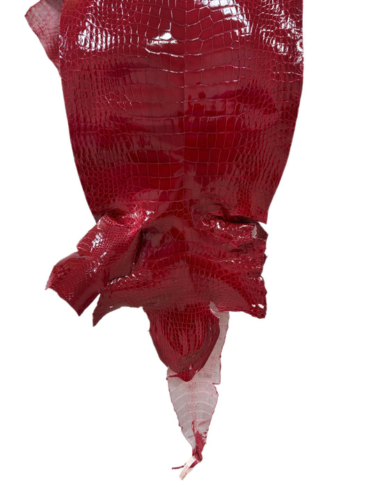 35 cm Grade 2/3 Red Glazed Wild American Alligator Leather - Tag: LA23-0022151
