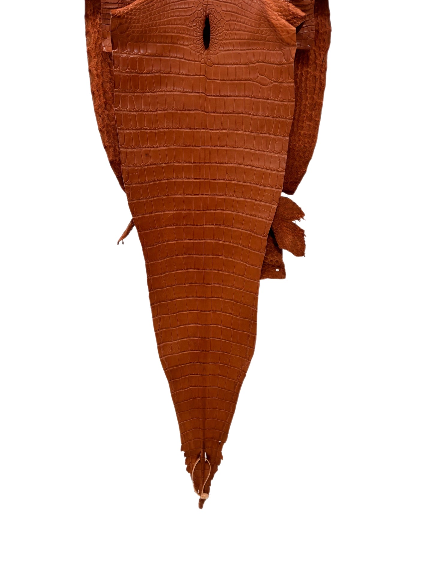 36 cm Grade 2/3 Cognac Matte Farm-Raised American Alligator Leather - Tag: FL17-0052831