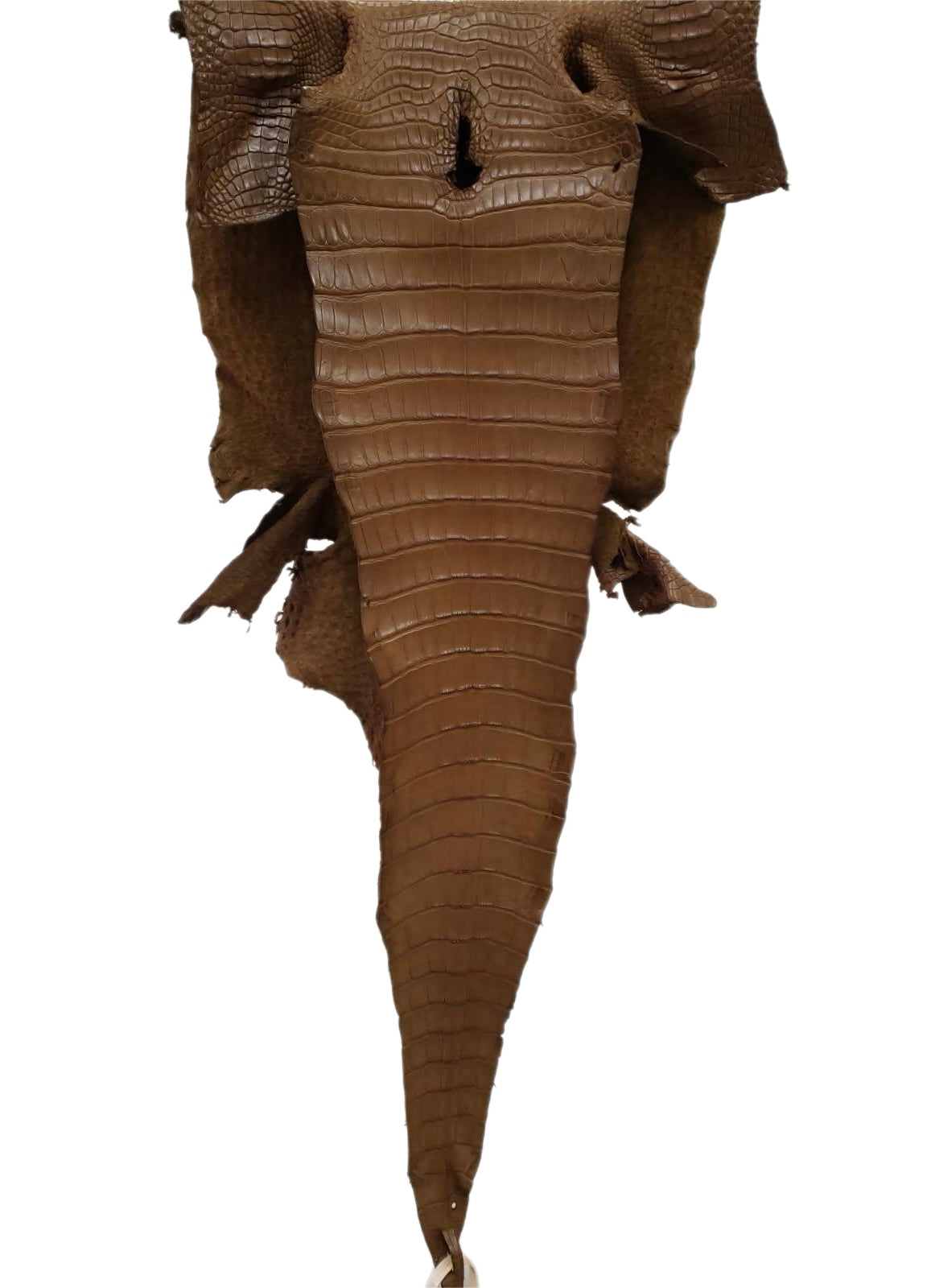 34 cm Grade 1/2 Kango Tabac Matte Farm-Raised American Alligator Leather - Tag: FL17-0036896