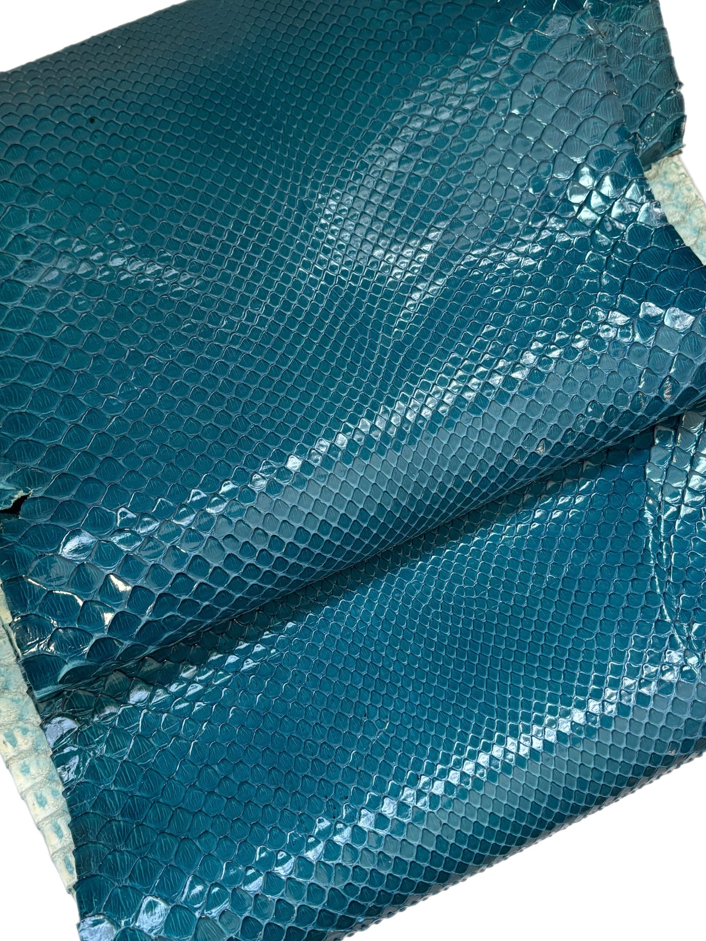 2 M Front Cut Ultramarine Glazed Python